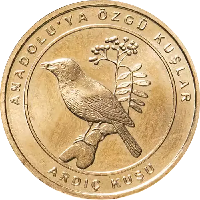 Ardıç Kuşu